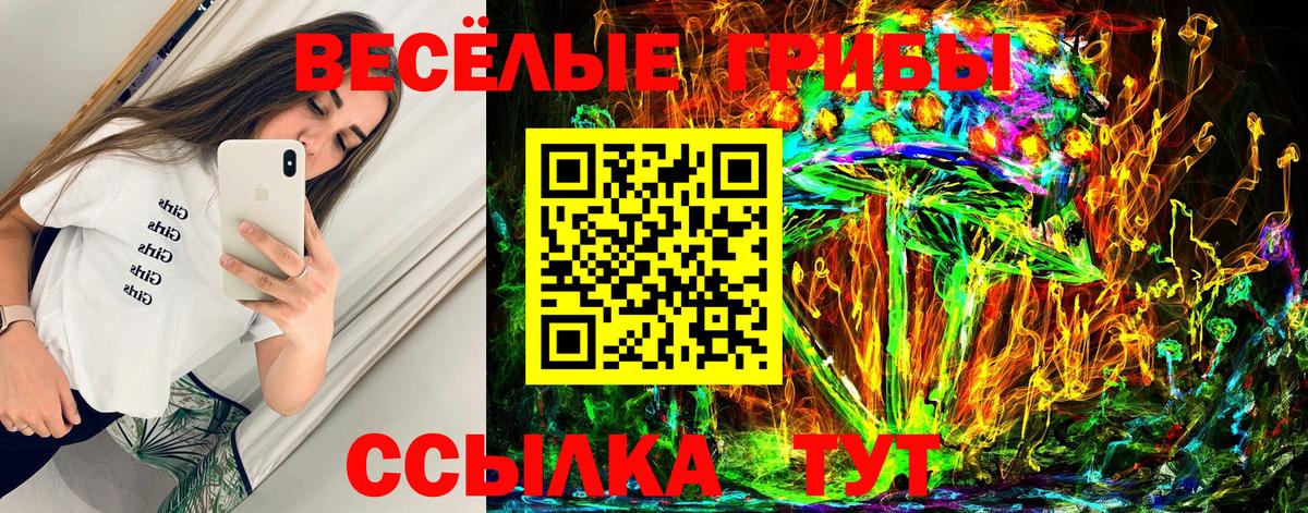 Галлюциногенные грибы GOLDEN TEACHER Жигулёвск